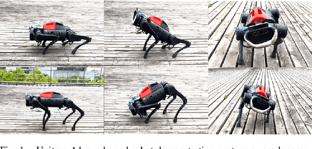 Figure 1 for PALo: Learning Posture-Aware Locomotion for Quadruped Robots