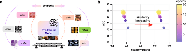 Figure 3 for Pre-trained Models Succeed in Medical Imaging with Representation Similarity Degradation