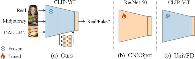 Figure 1 for Mixture of Low-rank Experts for Transferable AI-Generated Image Detection