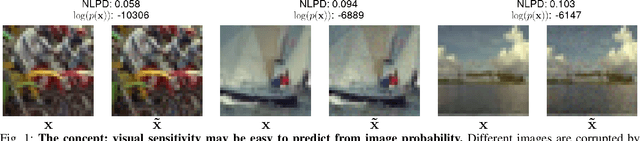 Figure 1 for Disentangling the Link Between Image Statistics and Human Perception