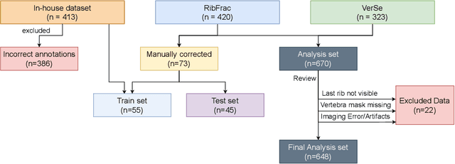 Figure 1 for Automated Thoracolumbar Stump Rib Detection and Analysis in a Large CT Cohort