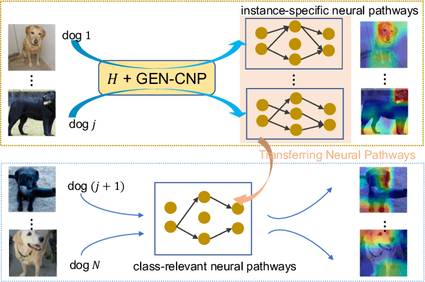 Figure 1 for On Model Explanations with Transferable Neural Pathways
