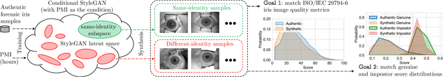 Figure 1 for Forensic Iris Image Synthesis