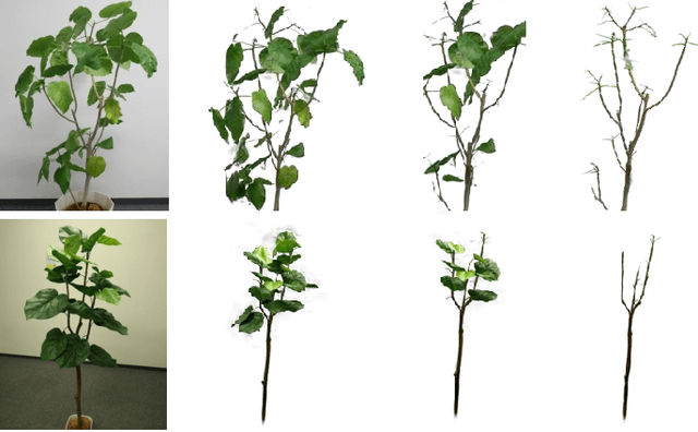 Figure 4 for GaussianPlant: Structure-aligned Gaussian Splatting for 3D Reconstruction of Plants