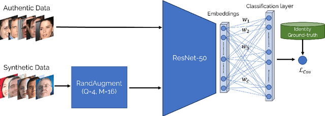 Figure 2 for If It's Not Enough, Make It So: Reducing Authentic Data Demand in Face Recognition through Synthetic Faces
