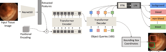 Figure 1 for Transformer-Based Wireless Capsule Endoscopy Bleeding Tissue Detection and Classification