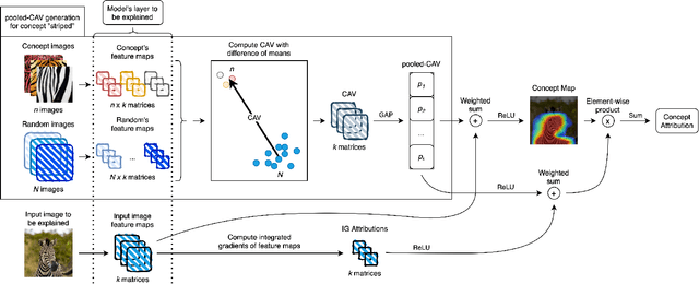 Figure 1 for Visual-TCAV: Concept-based Attribution and Saliency Maps for Post-hoc Explainability in Image Classification