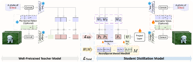 Figure 3 for AME: Aligned Manifold Entropy for Robust Vision-Language Distillation
