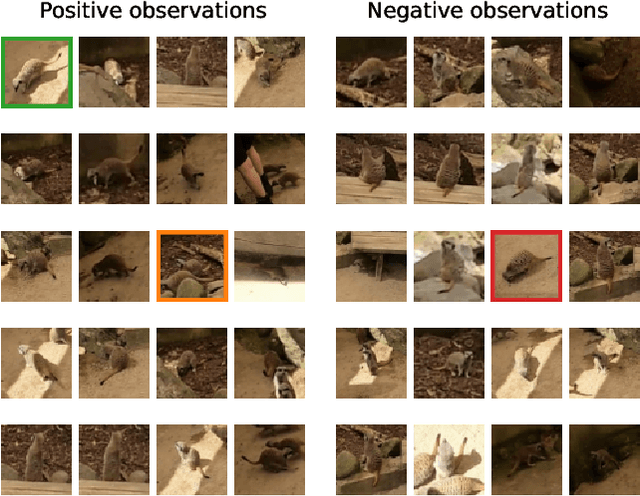 Figure 1 for Recurrence over Video Frames  for the Re-identification of Meerkats