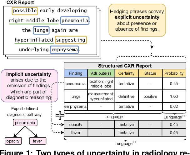 Figure 1 for Modeling Clinical Uncertainty in Radiology Reports: from Explicit Uncertainty Markers to Implicit Reasoning Pathways