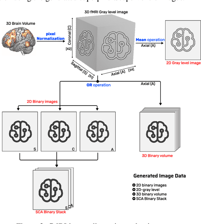 Figure 3 for Toward more frugal models for functional cerebral networks automatic recognition with resting-state fMRI