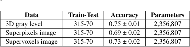 Figure 4 for Toward more frugal models for functional cerebral networks automatic recognition with resting-state fMRI