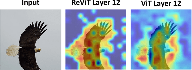 Figure 1 for ReViT: Enhancing Vision Transformers with Attention Residual Connections for Visual Recognition