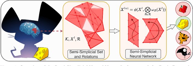 Figure 1 for Directed Semi-Simplicial Learning with Applications to Brain Activity Decoding