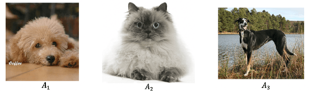 Figure 4 for ReLU Neural Networks, Polyhedral Decompositions, and Persistent Homolog