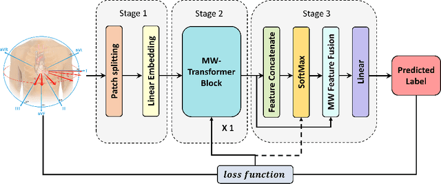 Figure 1 for MSW-Transformer: Multi-Scale Shifted Windows Transformer Networks for 12-Lead ECG Classification