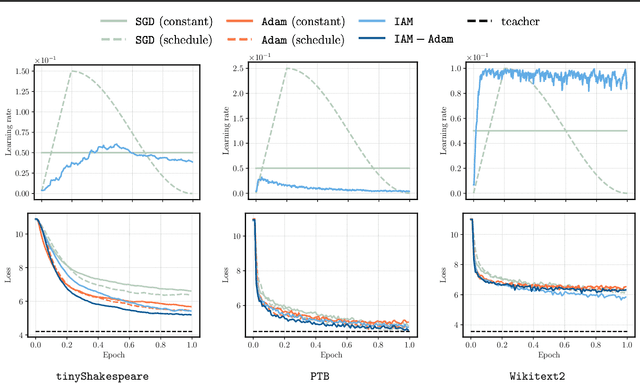 Figure 2 for Analysis of an Idealized Stochastic Polyak Method and its Application to Black-Box Model Distillation
