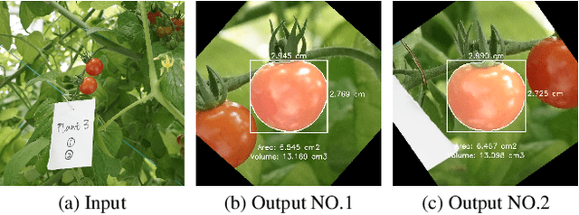 Figure 1 for TomatoScanner: phenotyping tomato fruit based on only RGB image