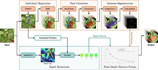 Figure 3 for TomatoScanner: phenotyping tomato fruit based on only RGB image