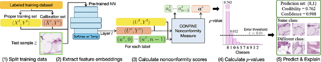 Figure 1 for CONFINE: Conformal Prediction for Interpretable Neural Networks