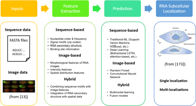 Figure 1 for A Comprehensive Review on RNA Subcellular Localization Prediction
