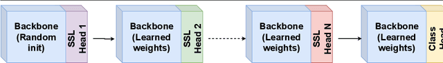 Figure 1 for Self-Supervised Curricular Deep Learning for Chest X-Ray Image Classification