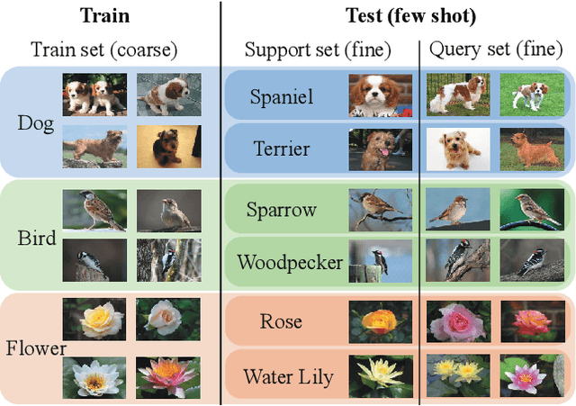 Figure 1 for Twofold Debiasing Enhances Fine-Grained Learning with Coarse Labels