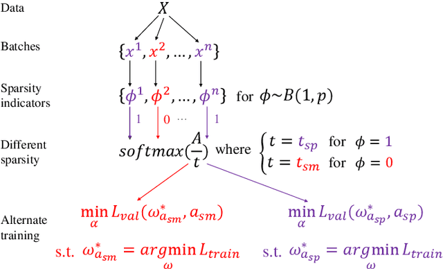 Figure 2 for Robustifying DARTS by Eliminating Information Bypass Leakage via Explicit Sparse Regularization
