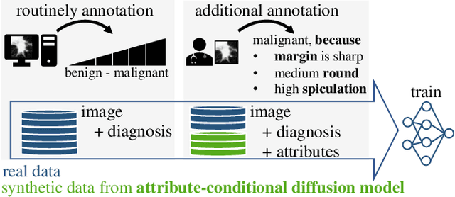 Figure 1 for Minimum Data, Maximum Impact: 20 annotated samples for explainable lung nodule classification