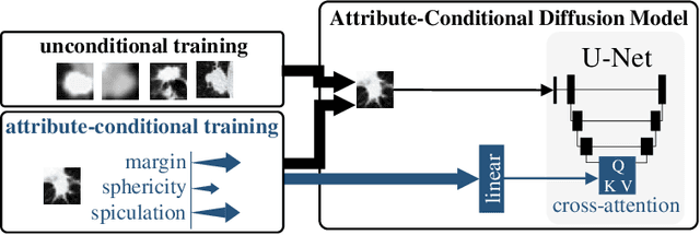 Figure 3 for Minimum Data, Maximum Impact: 20 annotated samples for explainable lung nodule classification