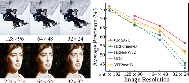 Figure 1 for Cascaded Multi-Scale Attention for Enhanced Multi-Scale Feature Extraction and Interaction with Low-Resolution Images