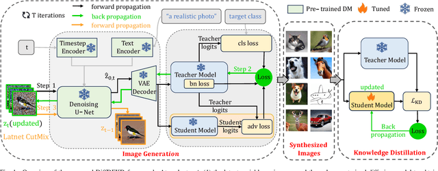 Figure 1 for Data-free Knowledge Distillation with Diffusion Models