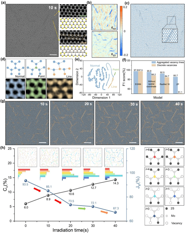 Figure 4 for Exploring structure diversity in atomic resolution microscopy with graph neural networks