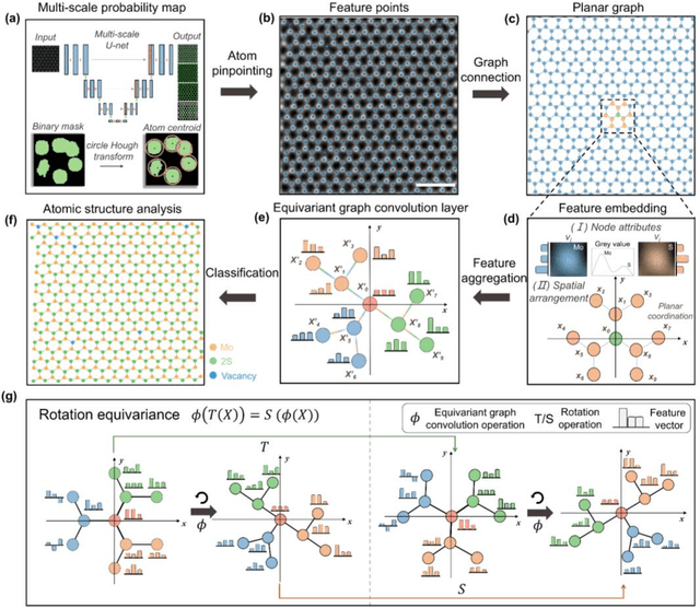 Figure 2 for Exploring structure diversity in atomic resolution microscopy with graph neural networks