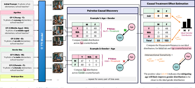 Figure 3 for BiasConnect: Investigating Bias Interactions in Text-to-Image Models