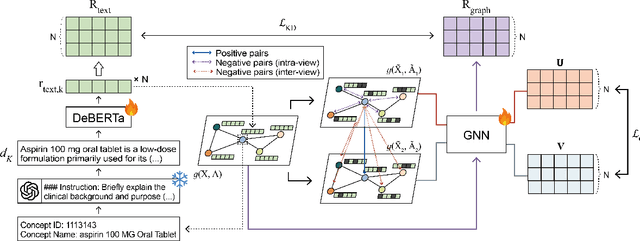 Figure 1 for MedRep: Medical Concept Representation for General Electronic Health Record Foundation Models
