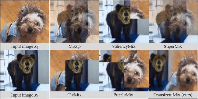 Figure 1 for TransformMix: Learning Transformation and Mixing Strategies from Data