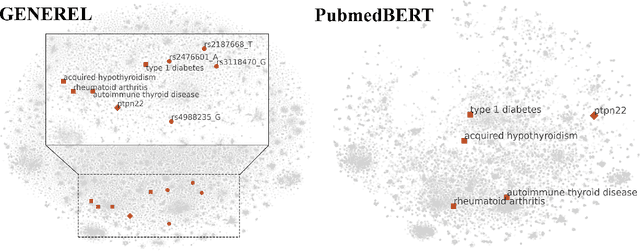 Figure 4 for Unified Representation of Genomic and Biomedical Concepts through Multi-Task, Multi-Source Contrastive Learning