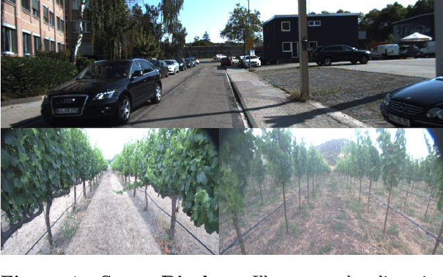 Figure 1 for OrchardDepth: Precise Metric Depth Estimation of Orchard Scene from Monocular Camera Images