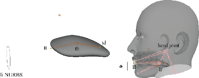 Figure 1 for Towards Streaming Speech-to-Avatar Synthesis