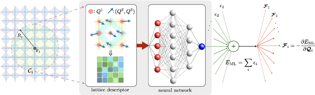 Figure 3 for Kinetics of orbital ordering in cooperative Jahn-Teller models: Machine-learning enabled large-scale simulations