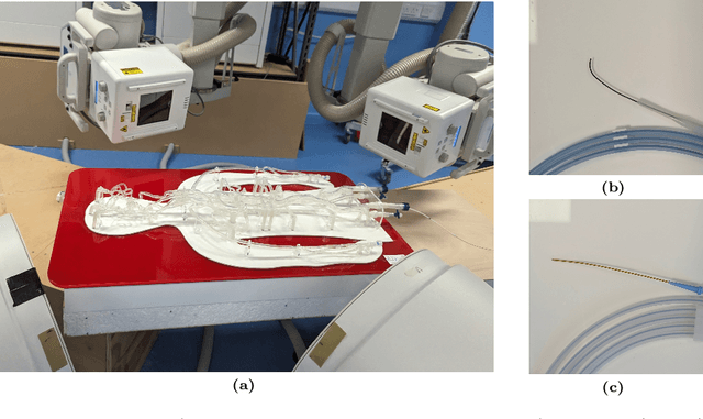 Figure 3 for Guide3D: A Bi-planar X-ray Dataset for 3D Shape Reconstruction