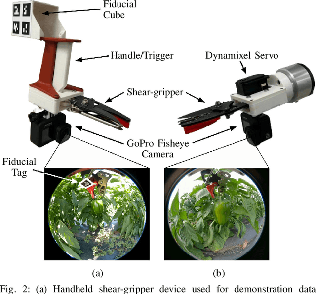 Figure 4 for Autonomous Robotic Pepper Harvesting: Imitation Learning in Unstructured Agricultural Environments