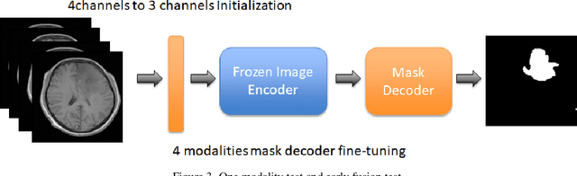 Figure 4 for Cross-modality Attention Adapter: A Glioma Segmentation Fine-tuning Method for SAM Using Multimodal Brain MR Images