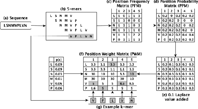 Figure 1 for Exploring The Potential Of GANs In Biological Sequence Analysis