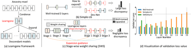 Figure 1 for Exploring Learngene via Stage-wise Weight Sharing for Initializing Variable-sized Models