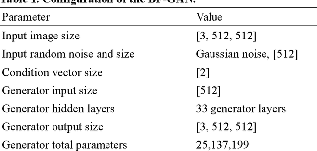 Figure 2 for BF-GAN: Development of an AI-driven Bubbly Flow Image Generation Model Using Generative Adversarial Networks