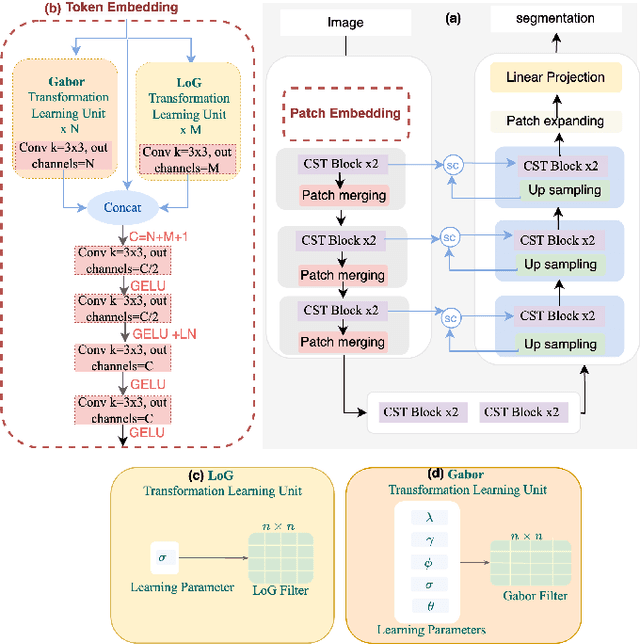 Figure 1 for GLoG-CSUnet: Enhancing Vision Transformers with Adaptable Radiomic Features for Medical Image Segmentation