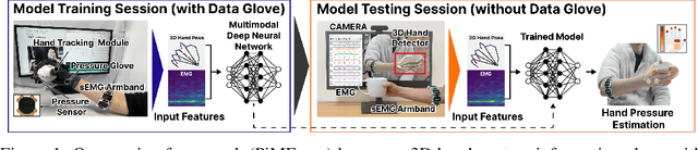 Figure 1 for Posture-Informed Muscular Force Learning for Robust Hand Pressure Estimation