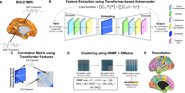 Figure 1 for TReND: Transformer derived features and Regularized NMF for neonatal functional network Delineation